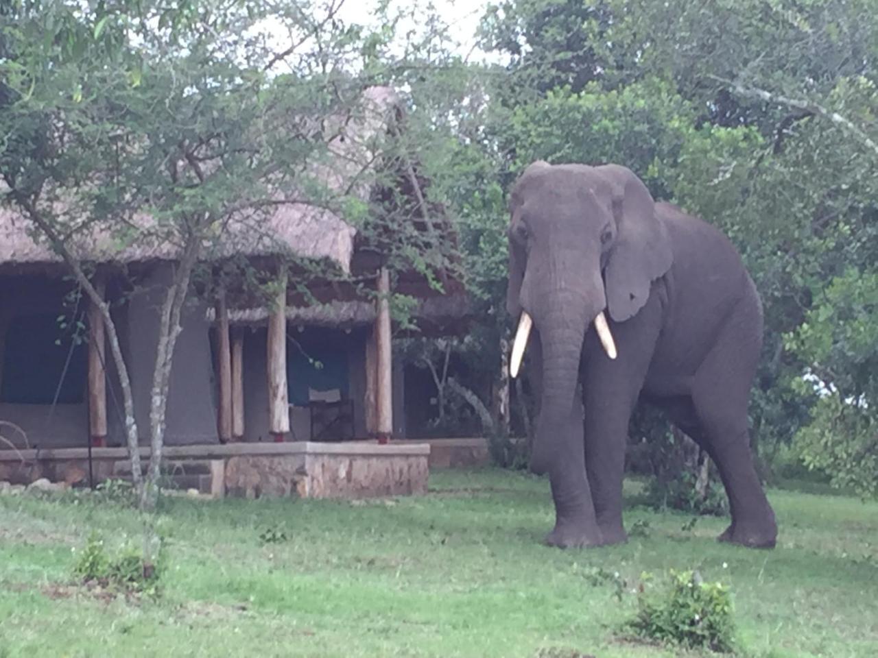 Queen Elizabeth Bush Lodge By Nature Lodges Ltd Katunguru Exterior photo